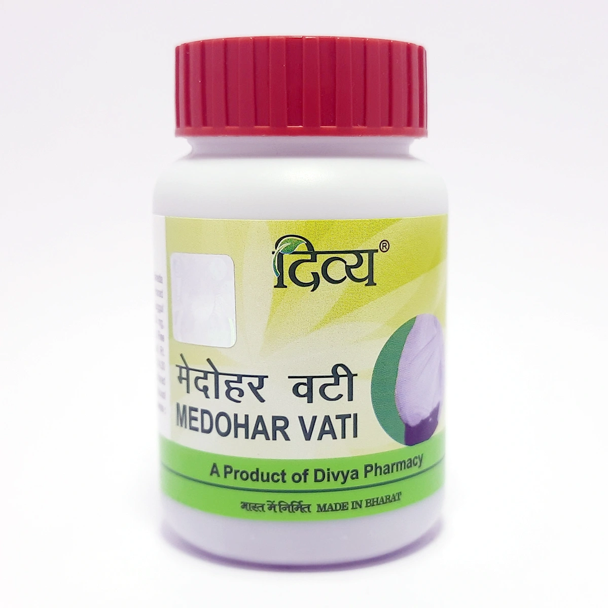 DIVYA MEDOHAR VATI 100 TAB